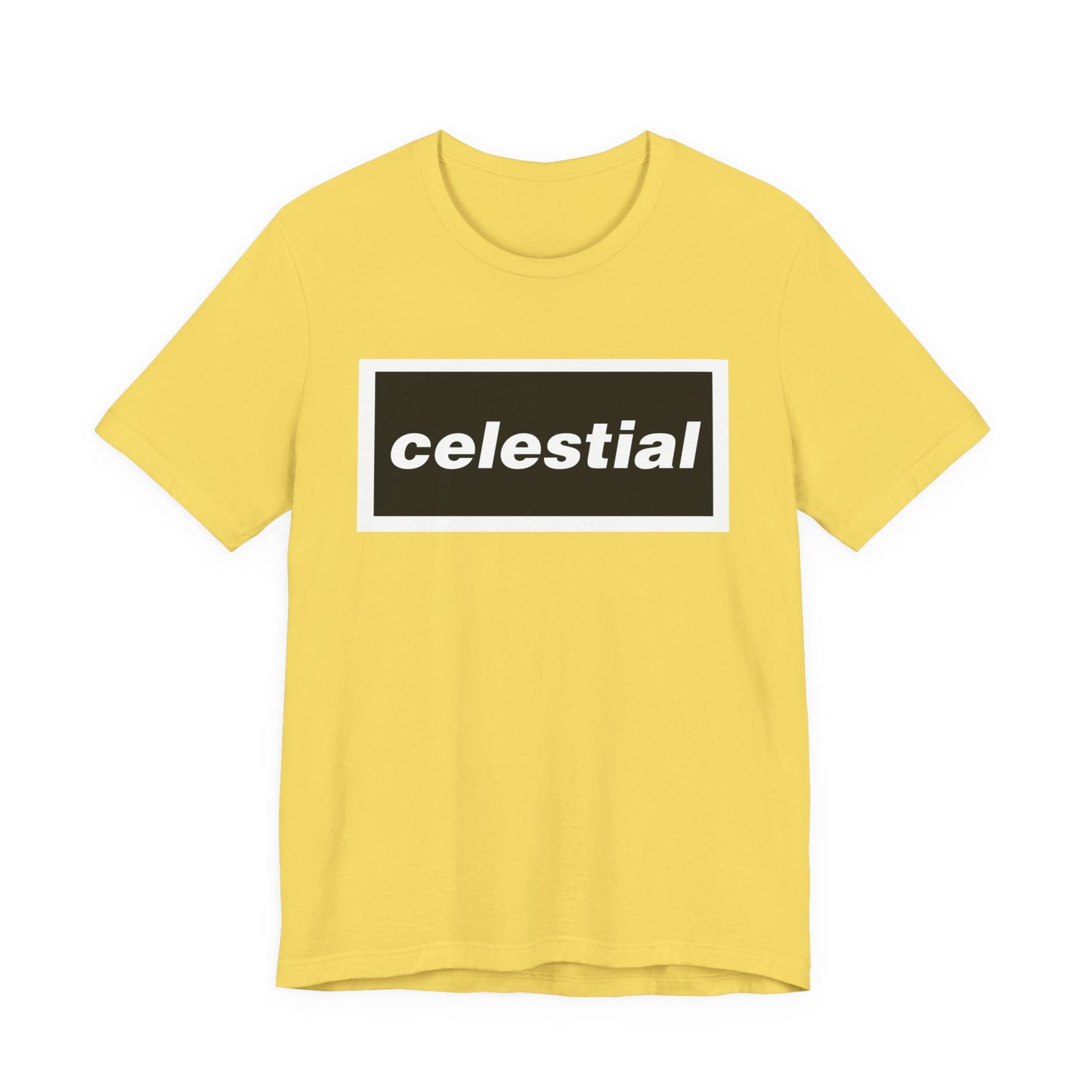 celestial live 25 T-shirt