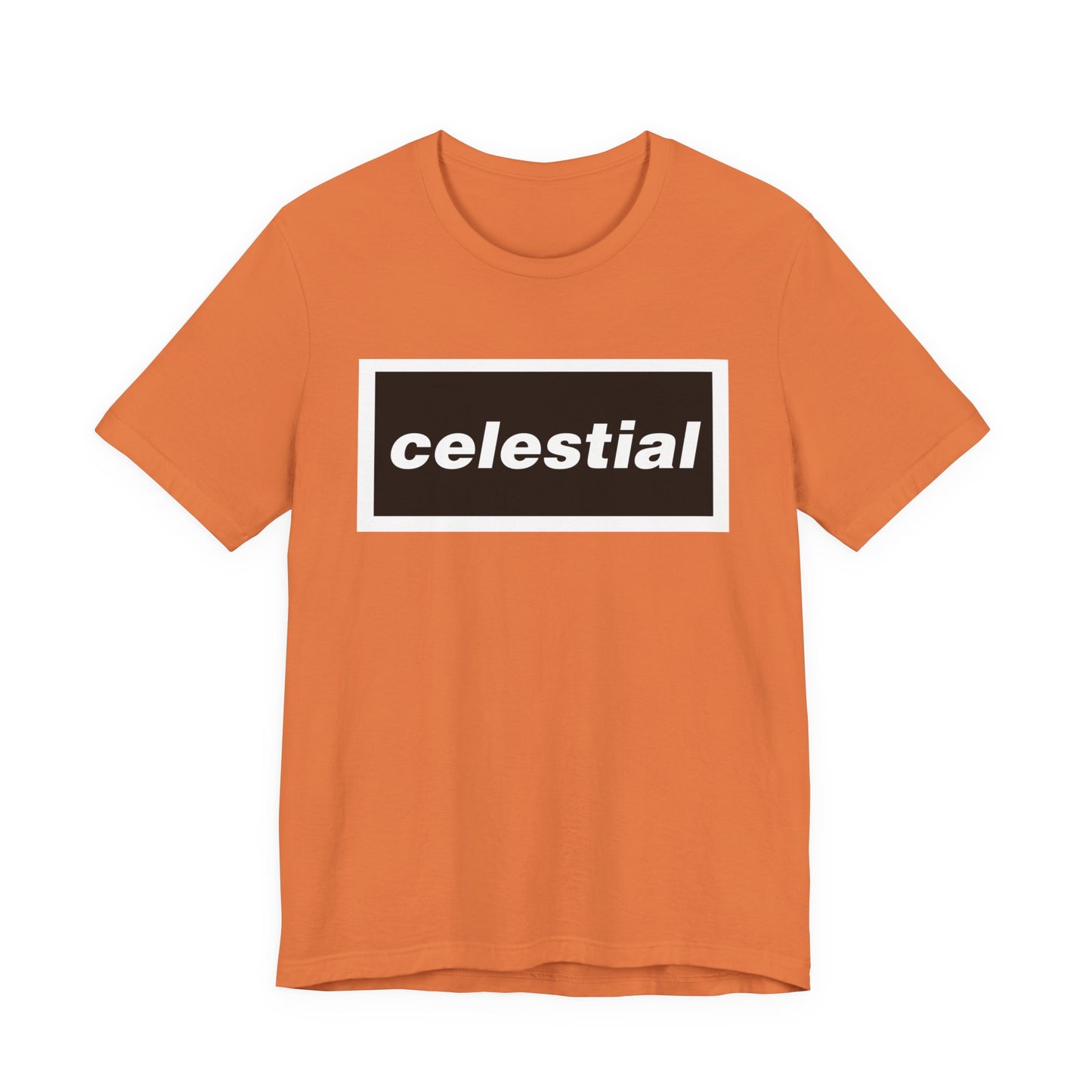 celestial live 25 T-shirt