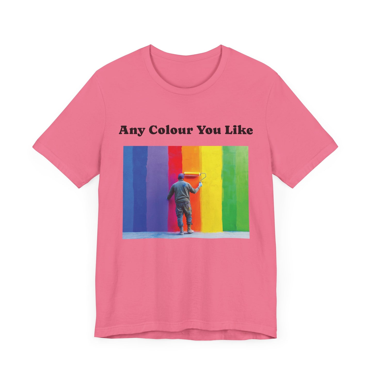 Wall Painter Any Colour You Like T-Shirt