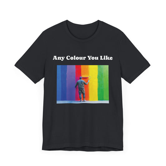 Wall Painter Any Colour You Like T-Shirt